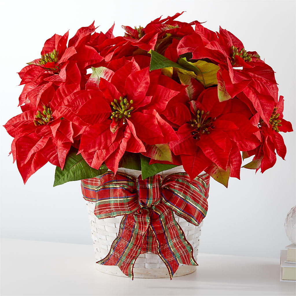 Happiest Holidays Poinsettia – Flowers By Us, Grand Forks ND