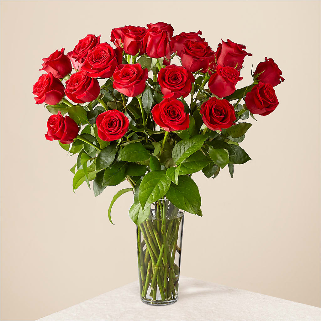Long Stem Red Rose Bouquet – Flowers By Us, Grand Forks ND