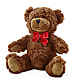 Adorable Plush Bear – Flowers By Us, Grand Forks ND