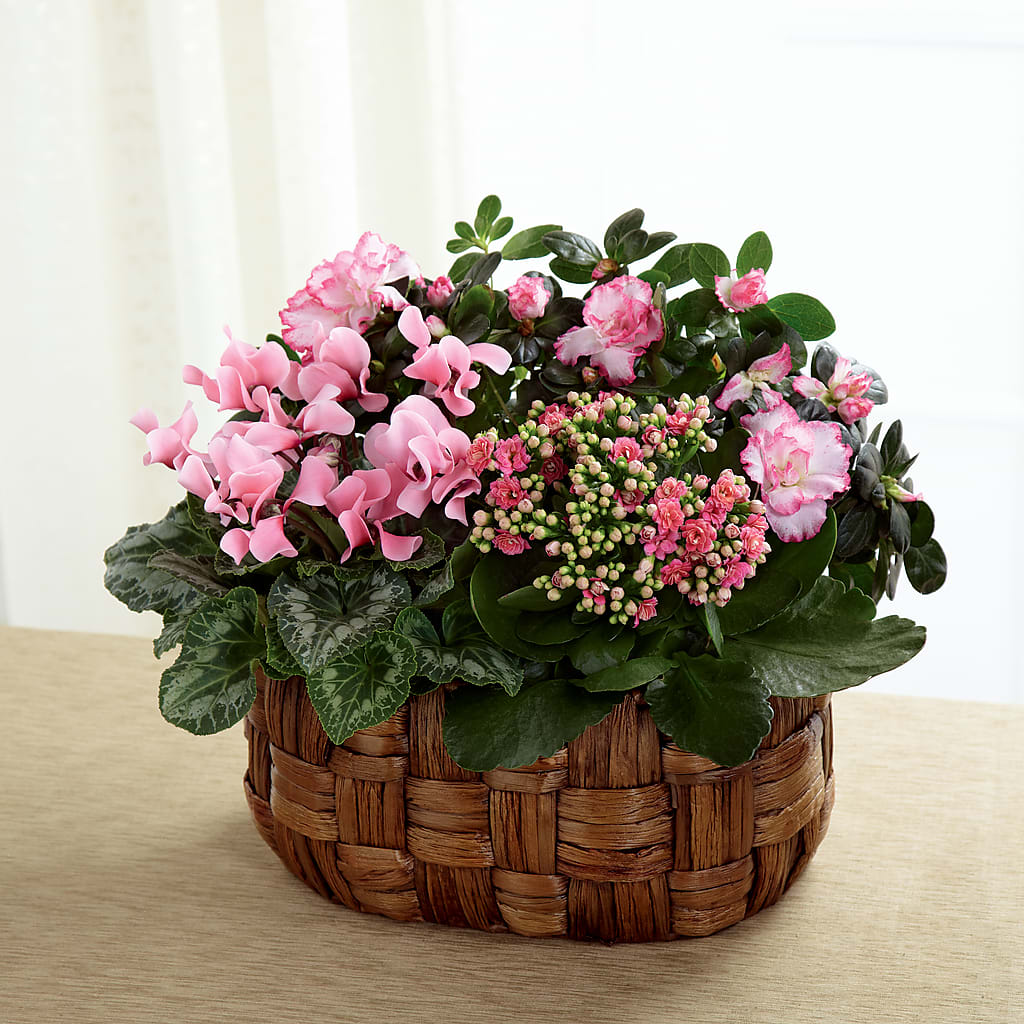 Pink Assortment – Flowers By Us, Grand Forks ND