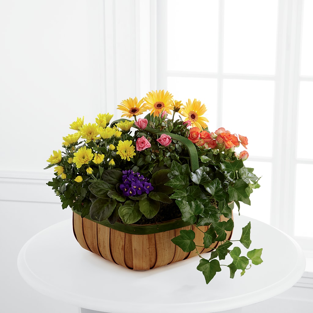 Gentle Blossoms Basket – Flowers By Us, Grand Forks ND