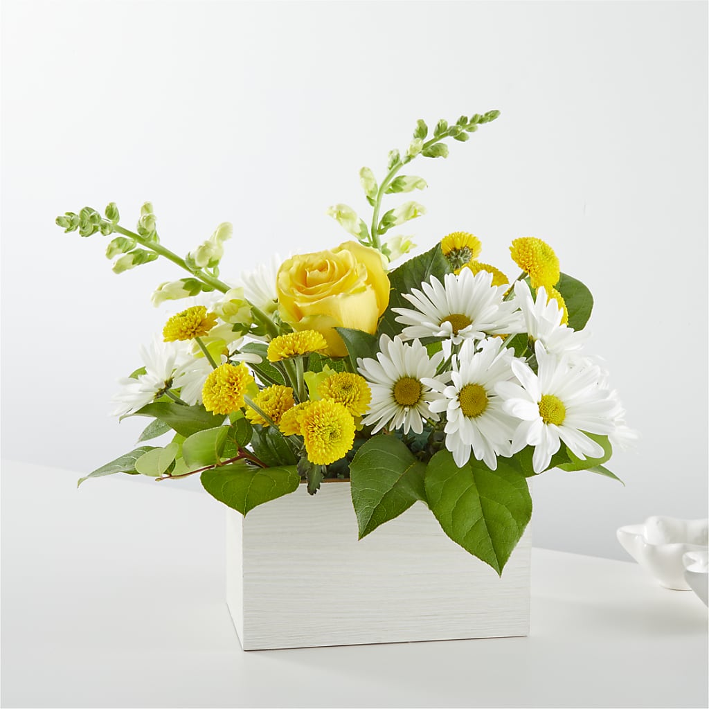Sun Salutation Box Bouquet – Flowers By Us, Grand Forks ND