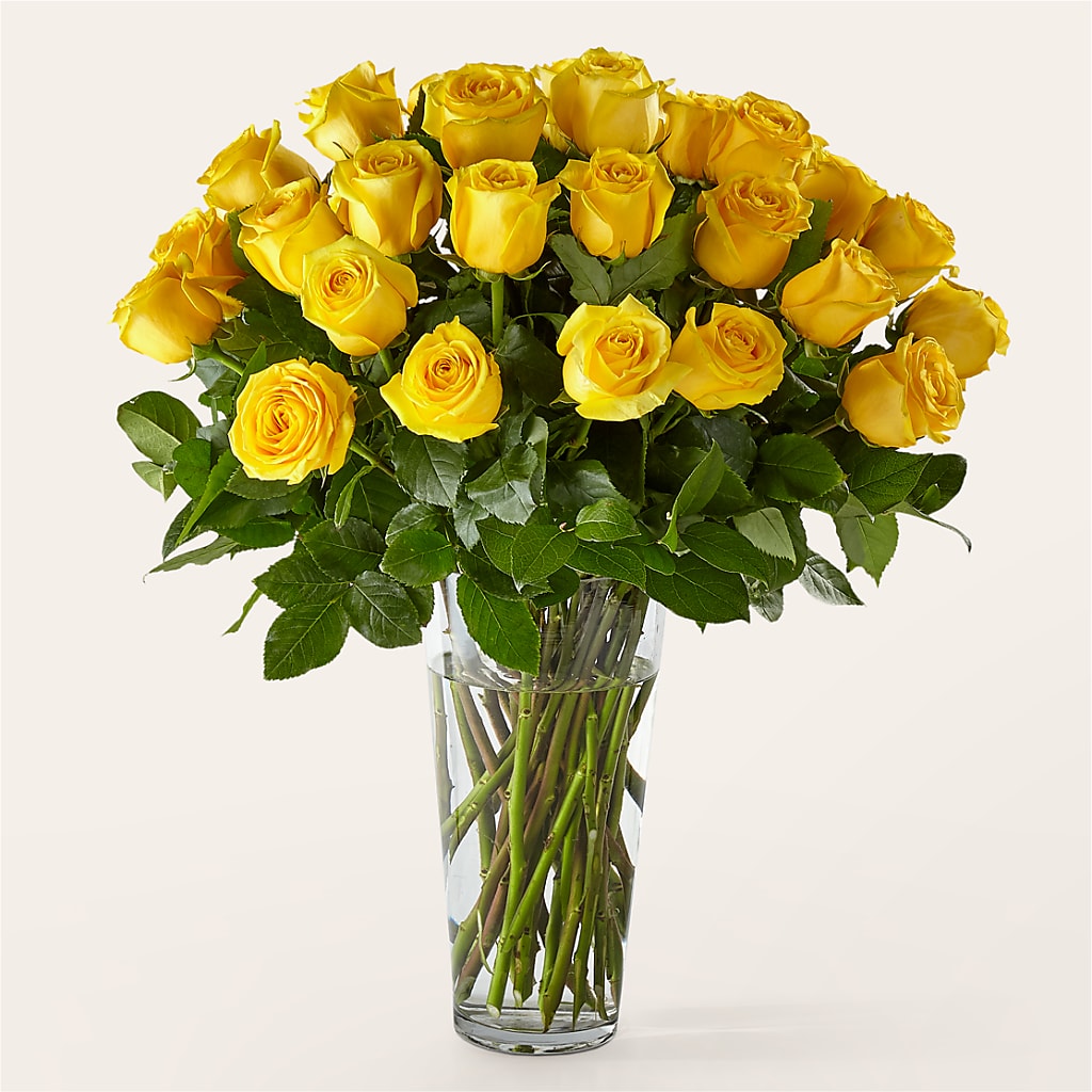 Long Stem Yellow Rose Bouquet – Flowers By Us, Grand Forks ND
