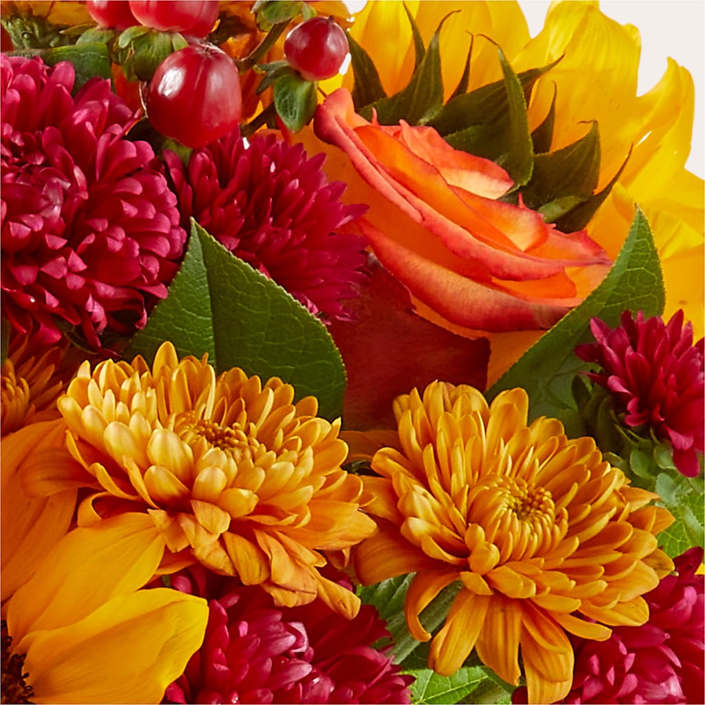 Sweater Season - A Florist Original – Flowers By Us, Grand Forks ND