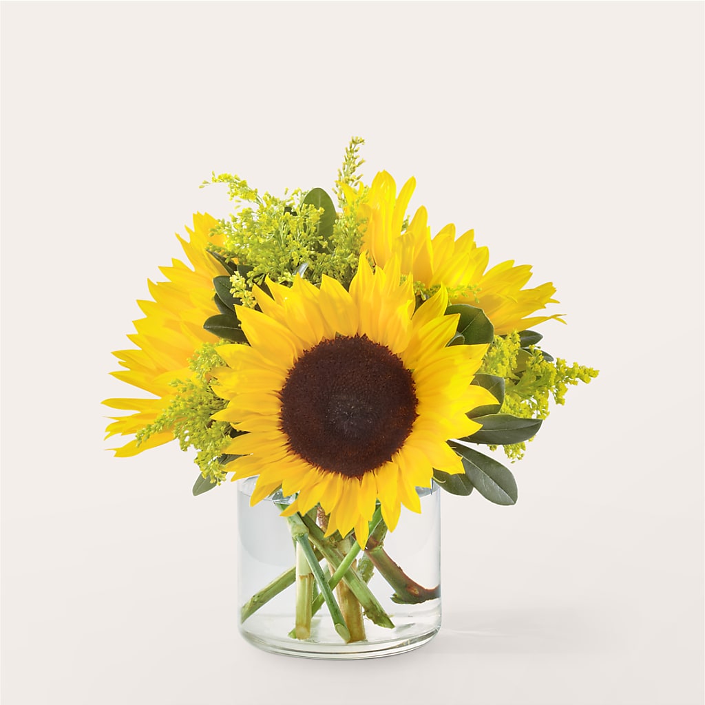 Beaming Sunflower Bouquet – Flowers By Us, Grand Forks ND