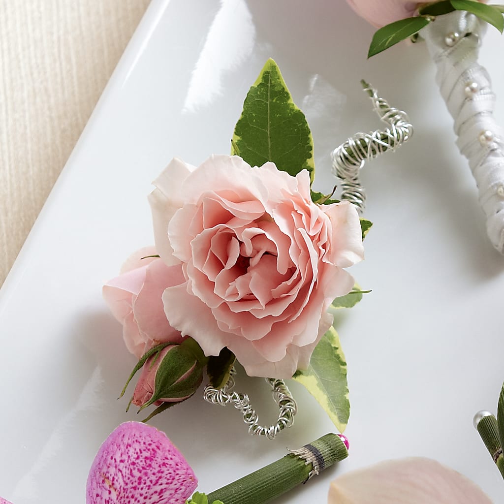 Pink Spray Rose Boutonniere – Flowers By Us, Grand Forks ND