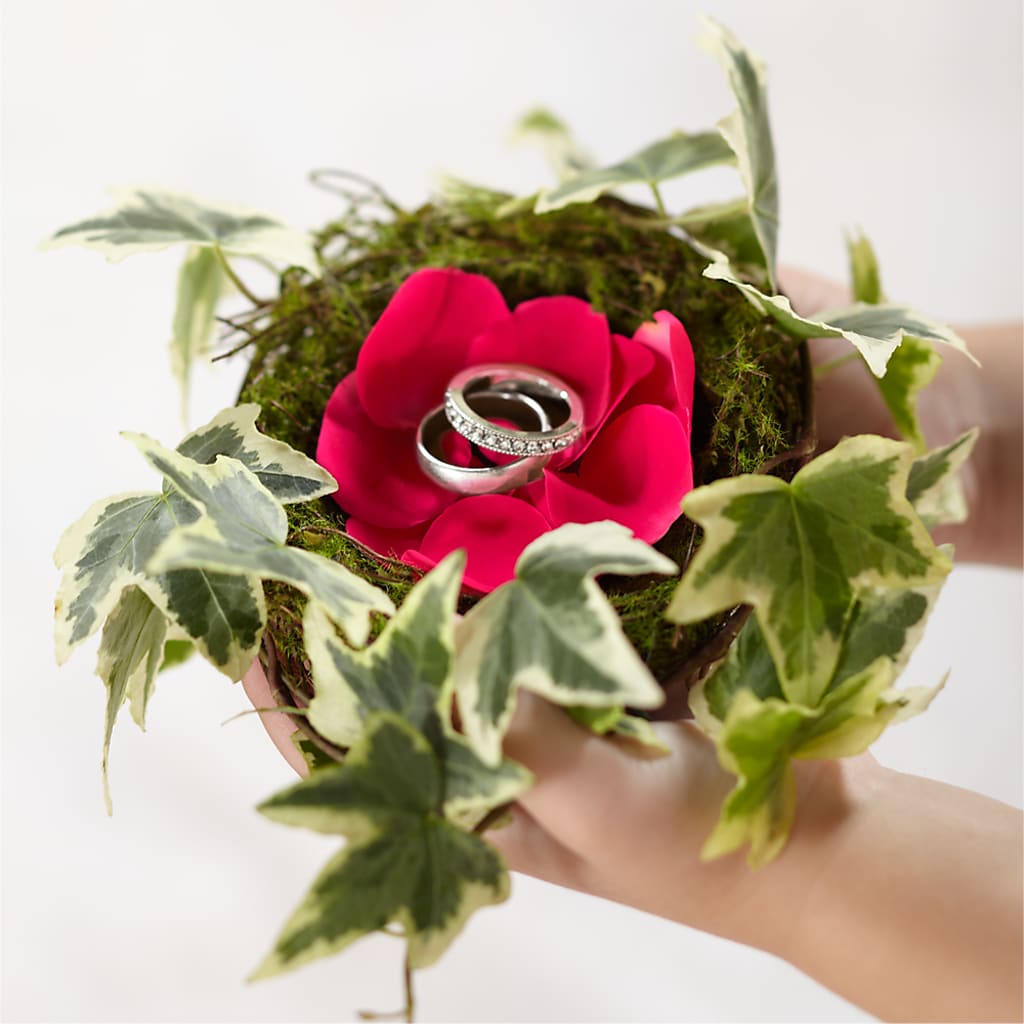 Lila Rose Ring Nest – Flowers By Us, Grand Forks ND