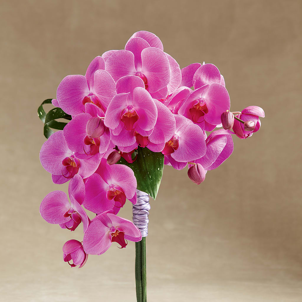 Glorious Bouquet – Flowers By Us, Grand Forks ND