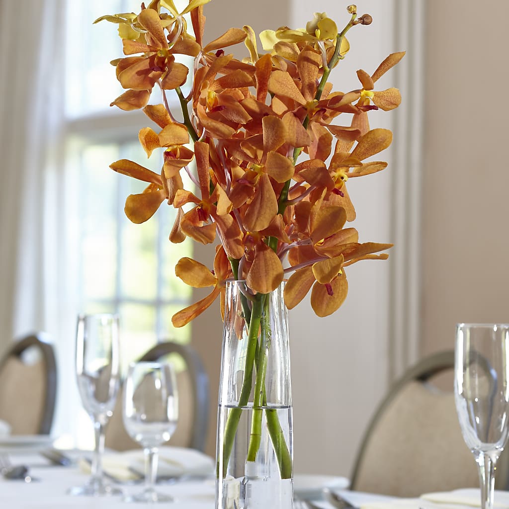Orange Mokara Bud Vase – Flowers By Us, Grand Forks ND