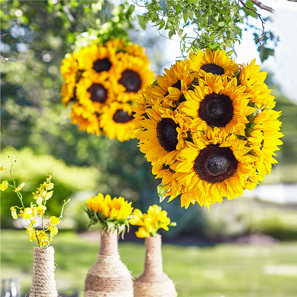 Sublime Garden Hanging Arrangement – Flowers By Us, Grand Forks ND