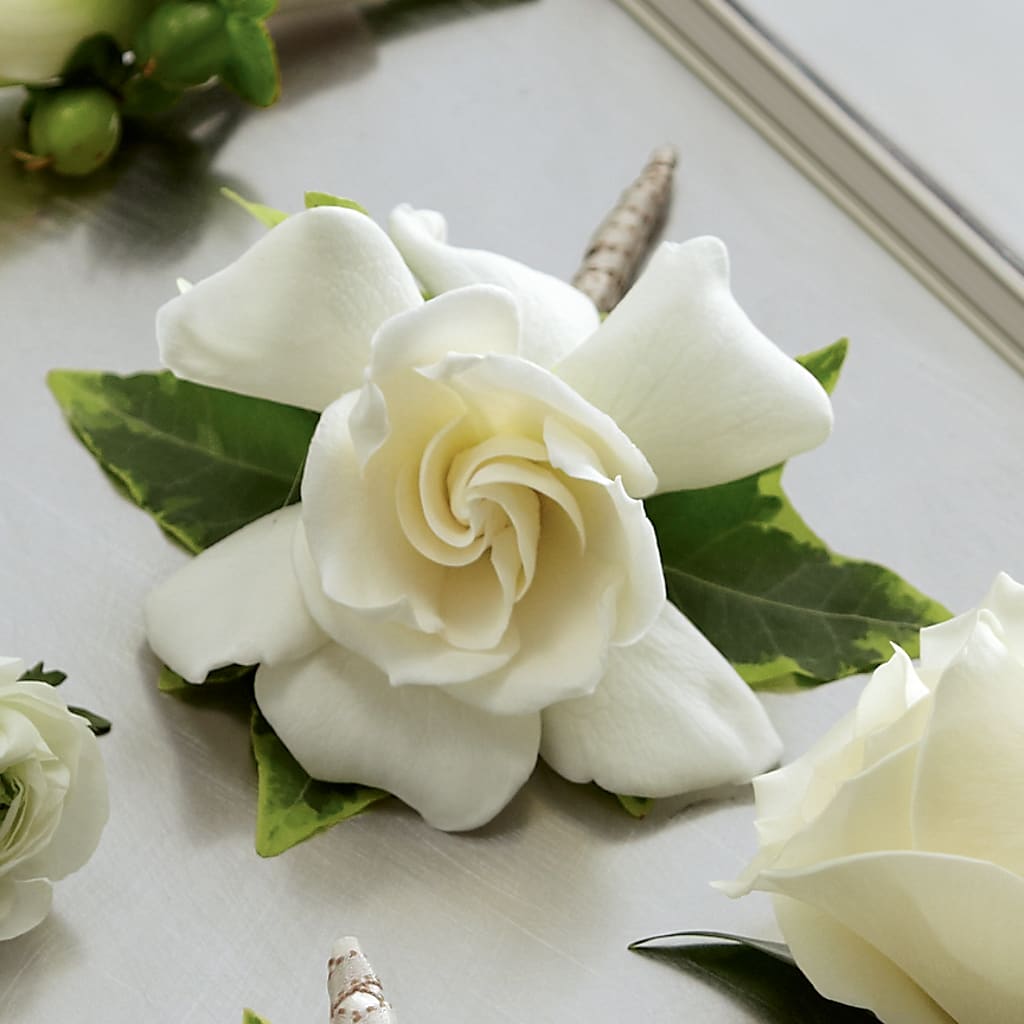 Gardenia Boutonniere – Flowers By Us, Grand Forks ND