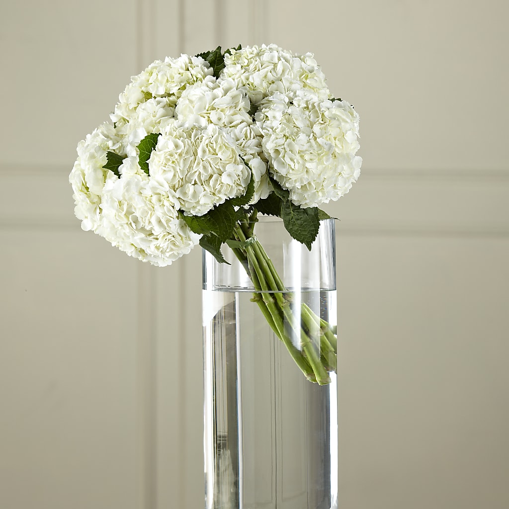 White Hydrangea Hand-Tied Bouquet – Flowers By Us, Grand Forks ND