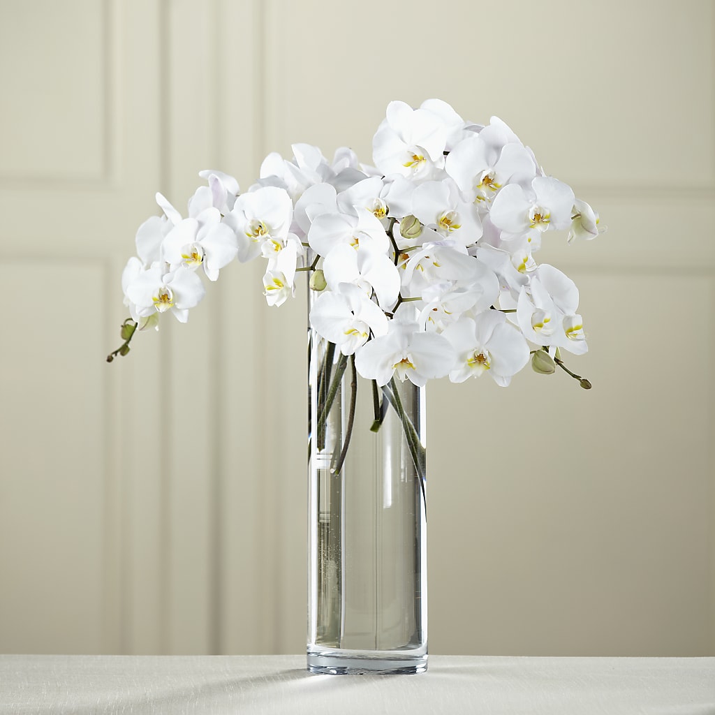 White Phalaenopsis Bouquet – Flowers By Us, Grand Forks ND
