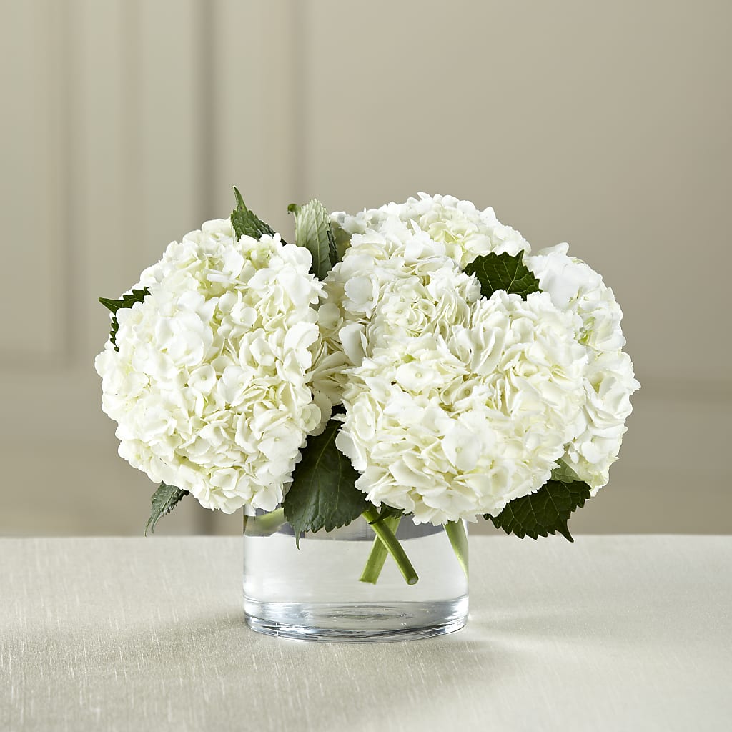 White Hydrangea Bouquet – Flowers By Us, Grand Forks ND
