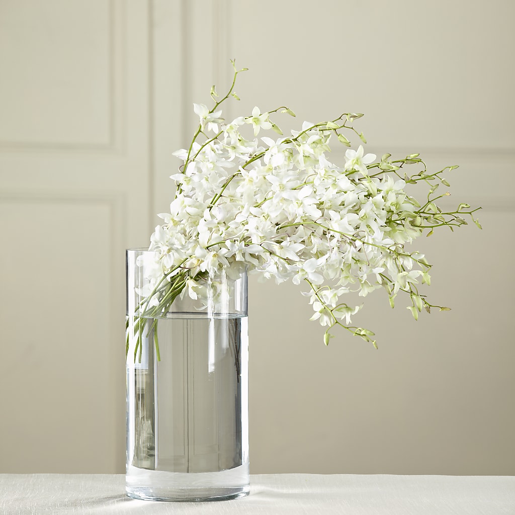 White Dendrobium Bouquet – Flowers By Us, Grand Forks ND