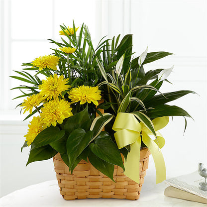 Loving Light Dishgarden –  Flowers By Us, Grand Forks ND