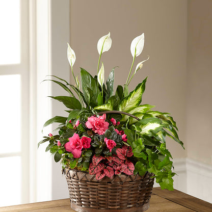 Dream in Pink Dishgarden –  Flowers By Us, Grand Forks ND