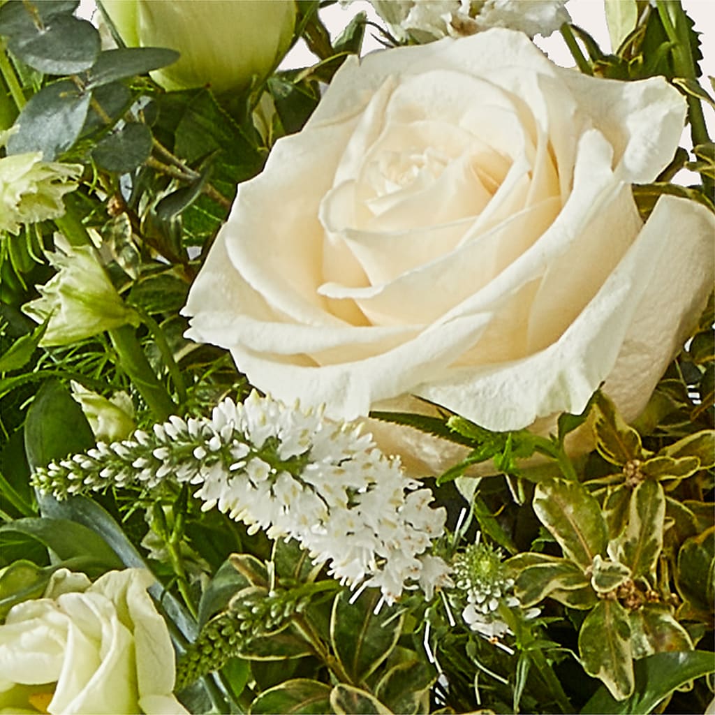 Cashmere Bouquet –  Flowers By Us, Grand Forks ND