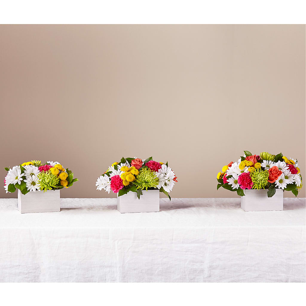 Sorbet Bouquet –  Flowers By Us, Grand Forks ND