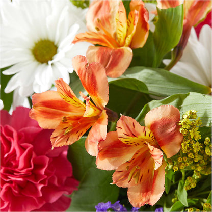 Oopsie Daisy Box Bouquet –  Flowers By Us, Grand Forks ND