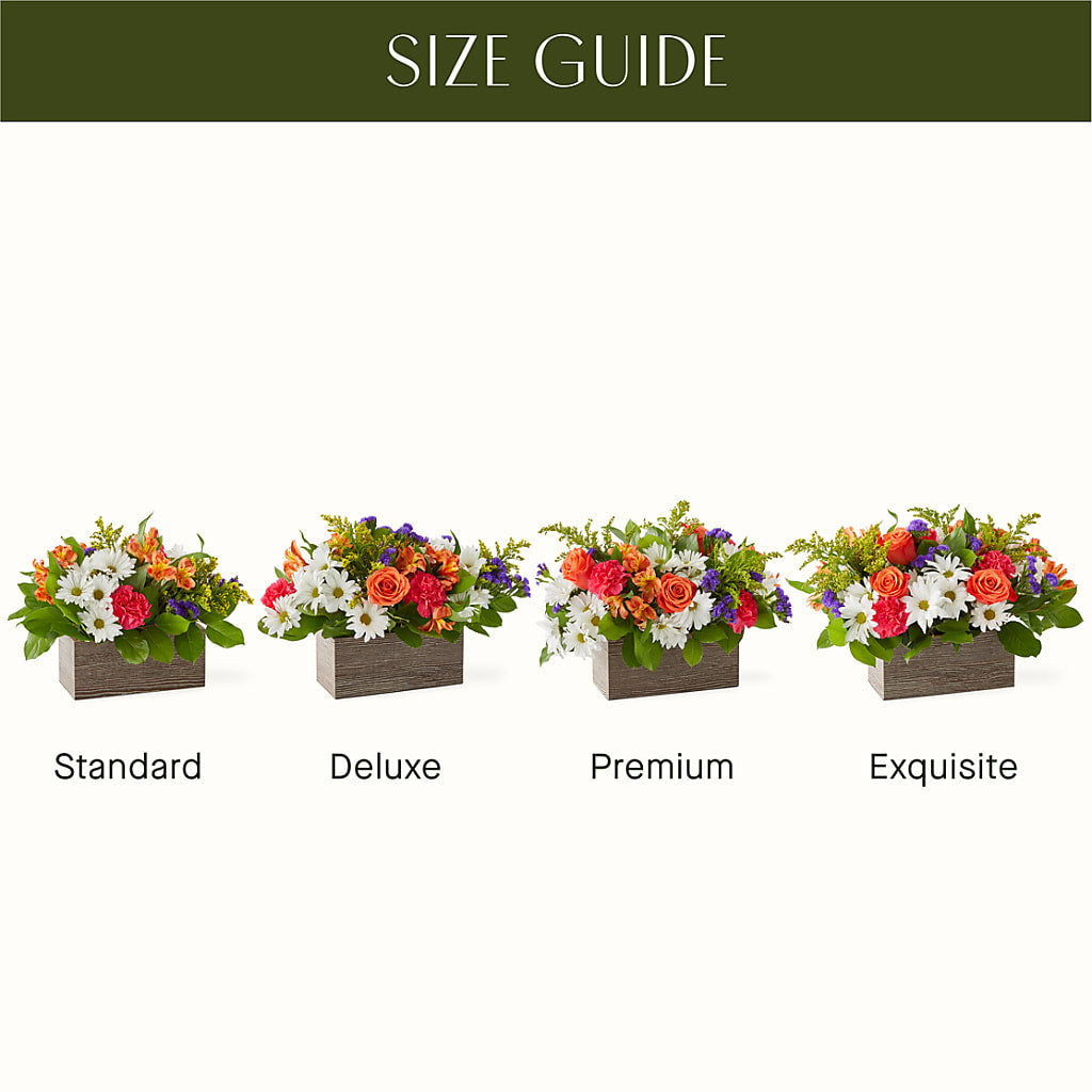 Oopsie Daisy Box Bouquet –  Flowers By Us, Grand Forks ND