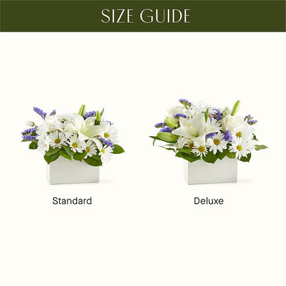 Beyond Blue Box Bouquet –  Flowers By Us, Grand Forks ND