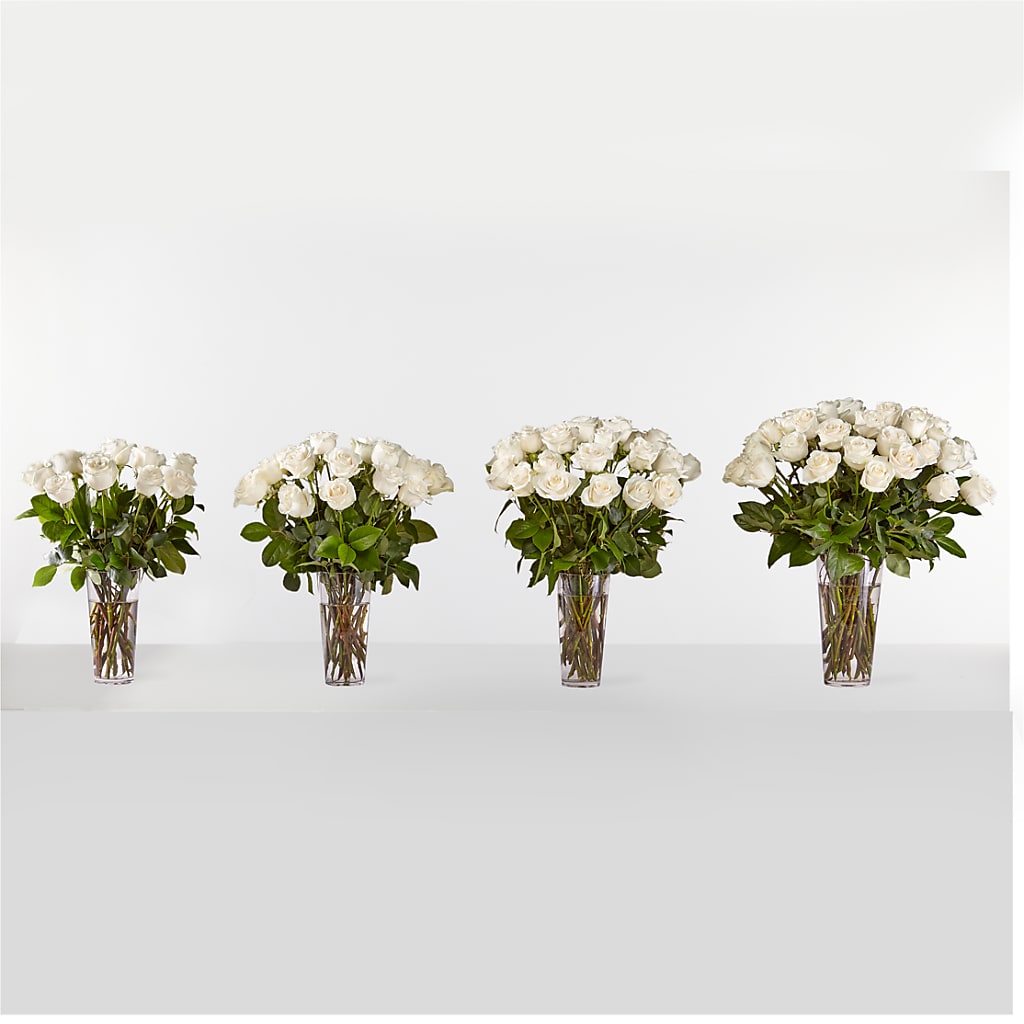 Long Stem White Rose Bouquet –  Flowers By Us, Grand Forks ND