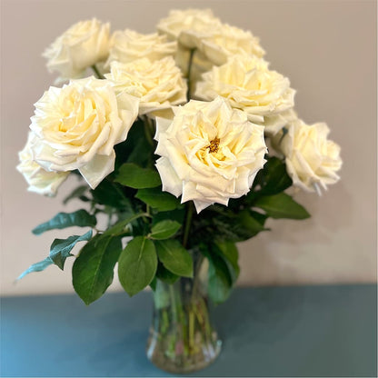 Long Stem Yellow Rose Bouquet –  Flowers By Us, Grand Forks ND