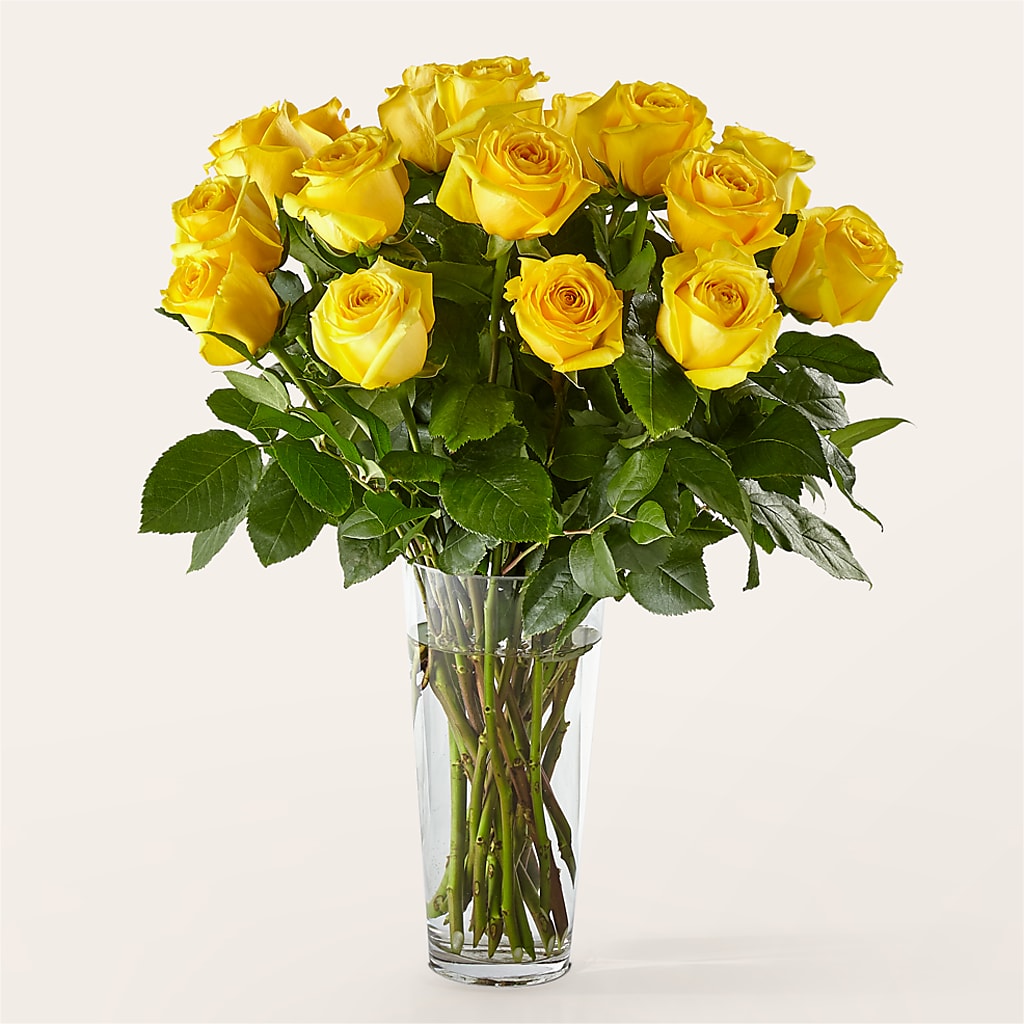 Long Stem Yellow Rose Bouquet –  Flowers By Us, Grand Forks ND