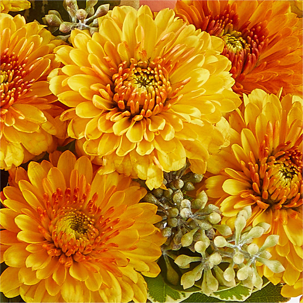 Peachy Pumpkin –  Flowers By Us, Grand Forks ND