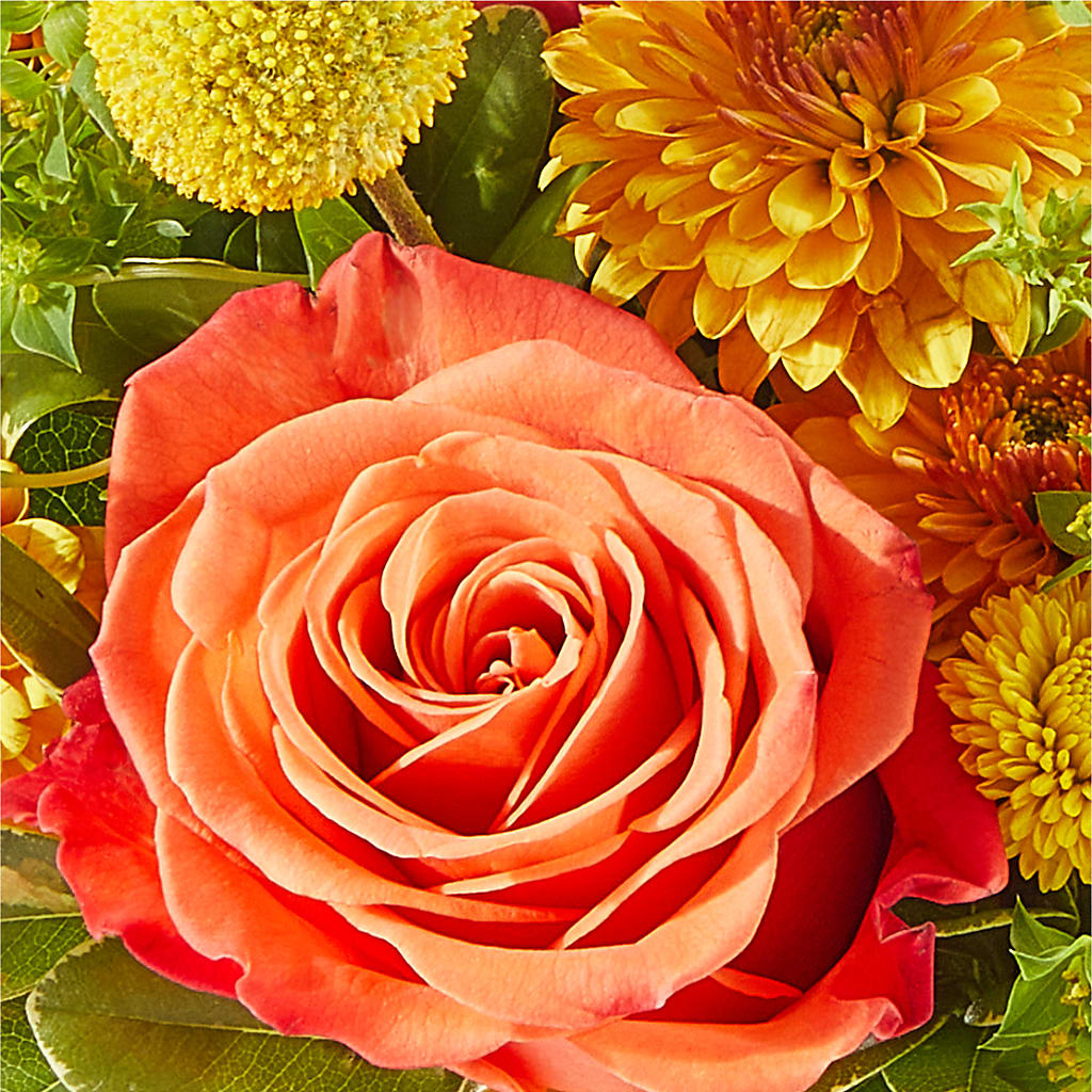 Gourdgeous Pumpkin –  Flowers By Us, Grand Forks ND