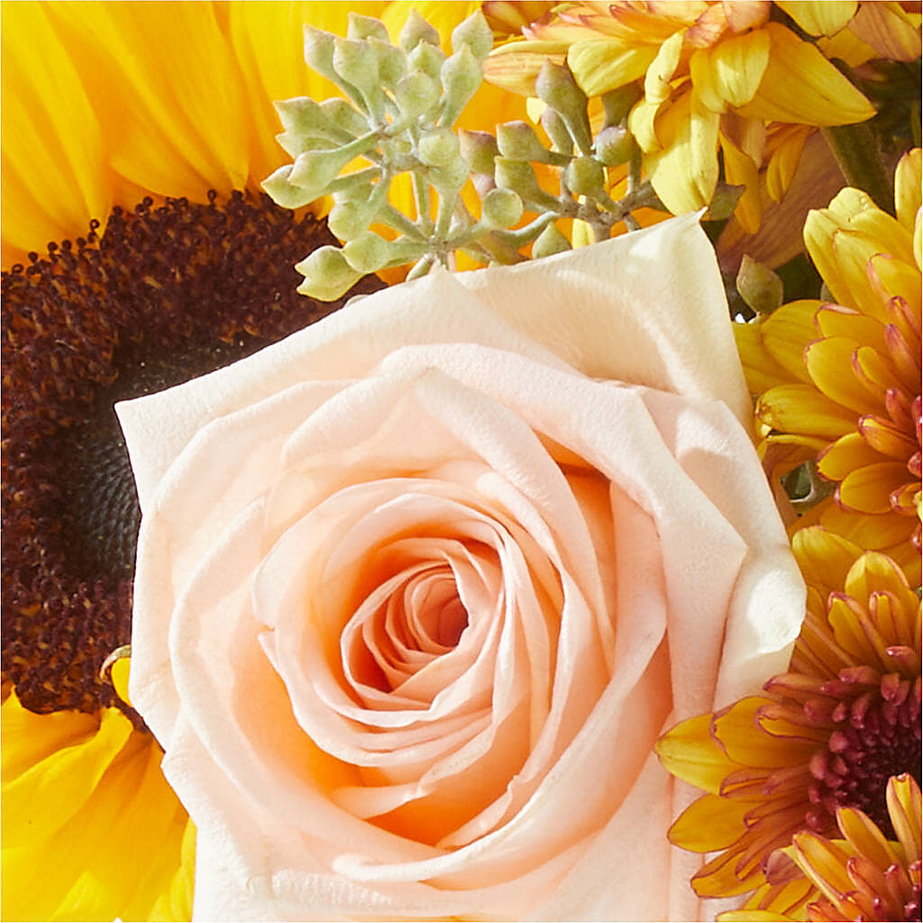 Pumpkin to Talk About Bouquet –  Flowers By Us, Grand Forks ND