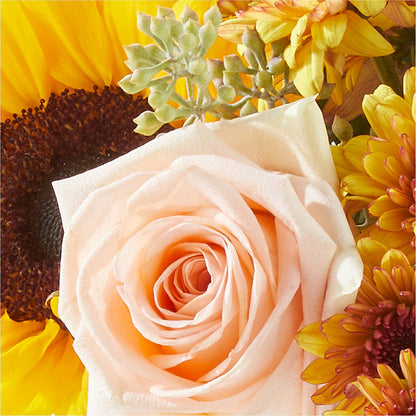 Pumpkin to Talk About Bouquet –  Flowers By Us, Grand Forks ND