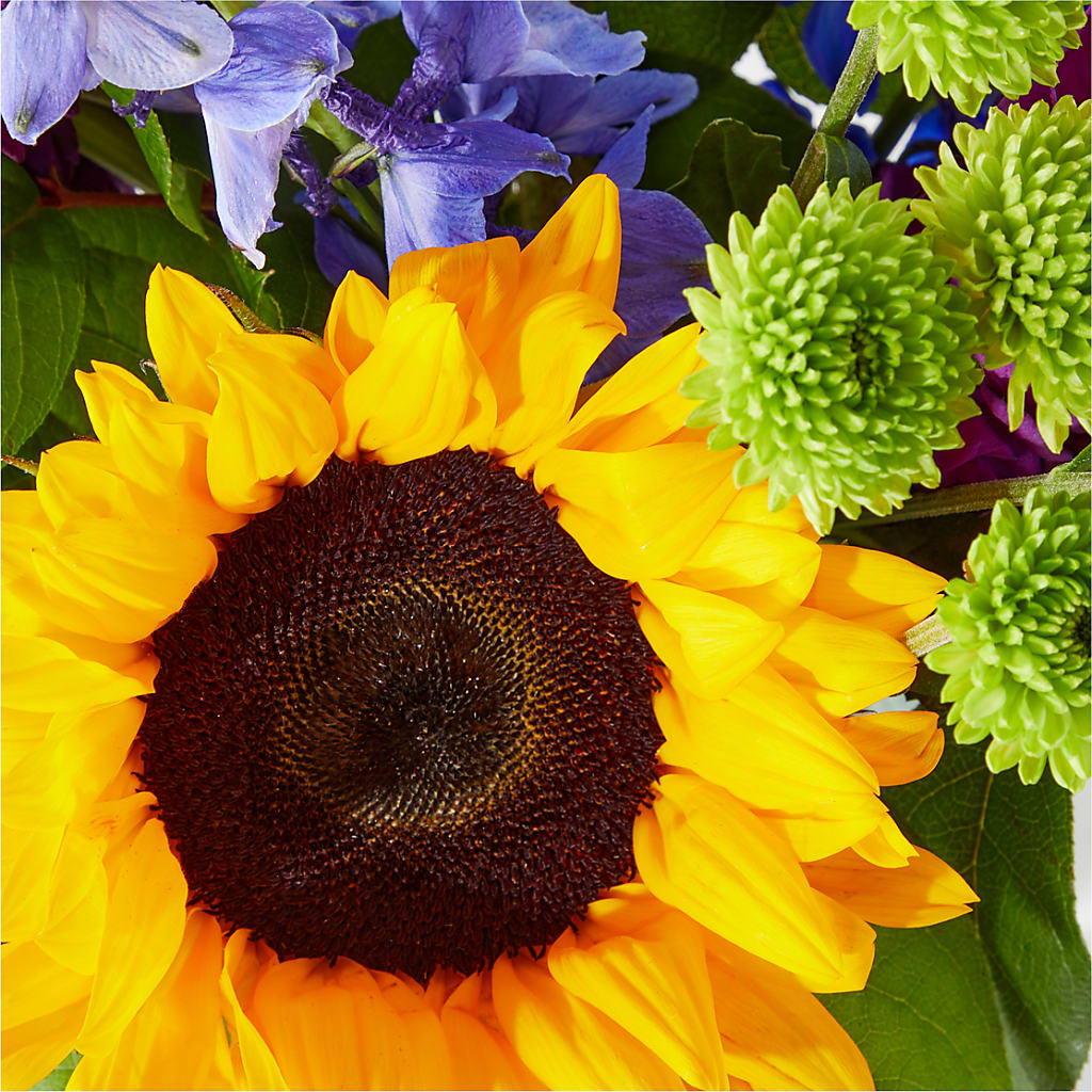 Catching Rays Bouquet –  Flowers By Us, Grand Forks ND