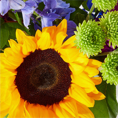 Catching Rays Bouquet –  Flowers By Us, Grand Forks ND