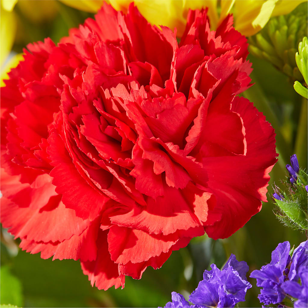 Brighter Days Bouquet –  Flowers By Us, Grand Forks ND