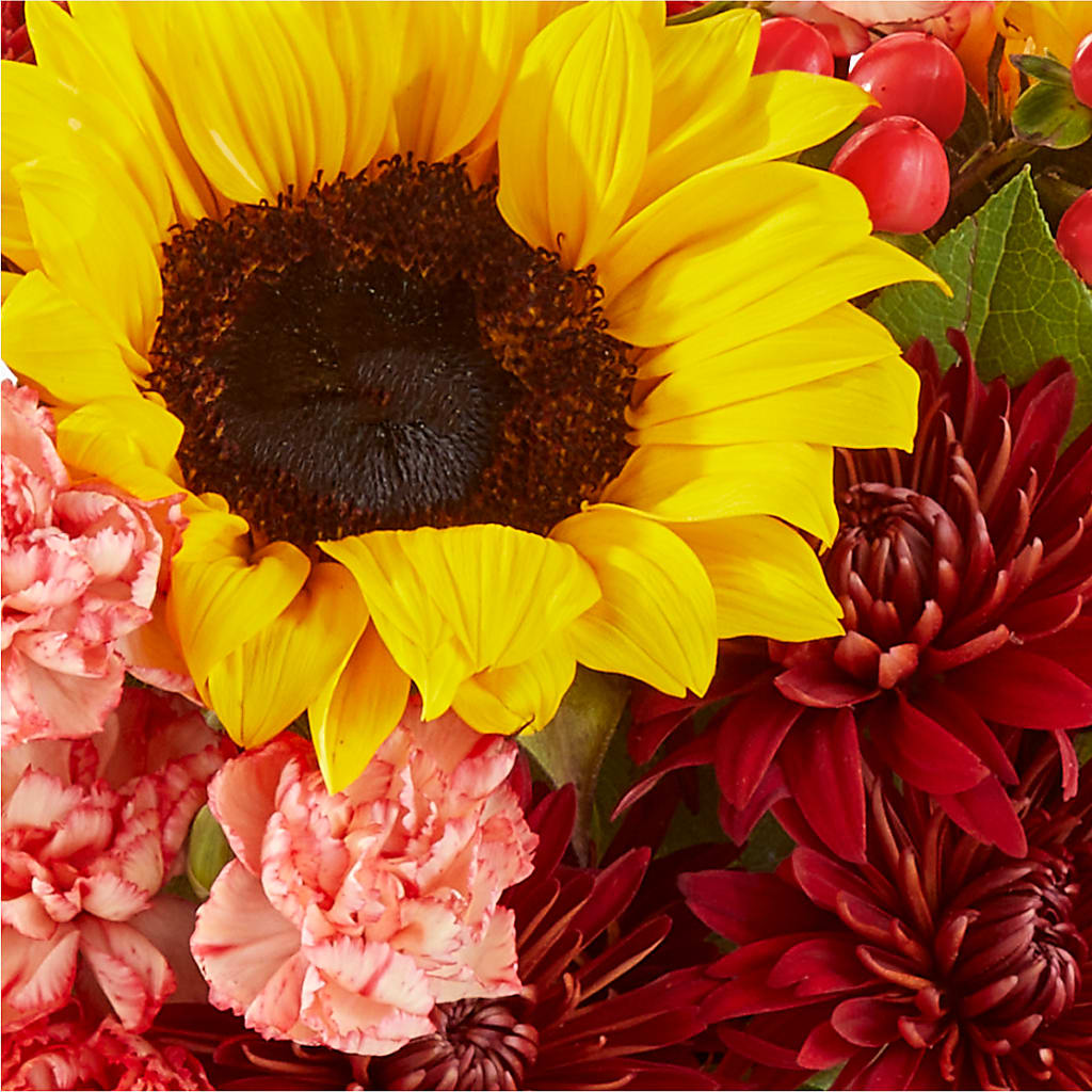 Fresh Cider Bouquet –  Flowers By Us, Grand Forks ND