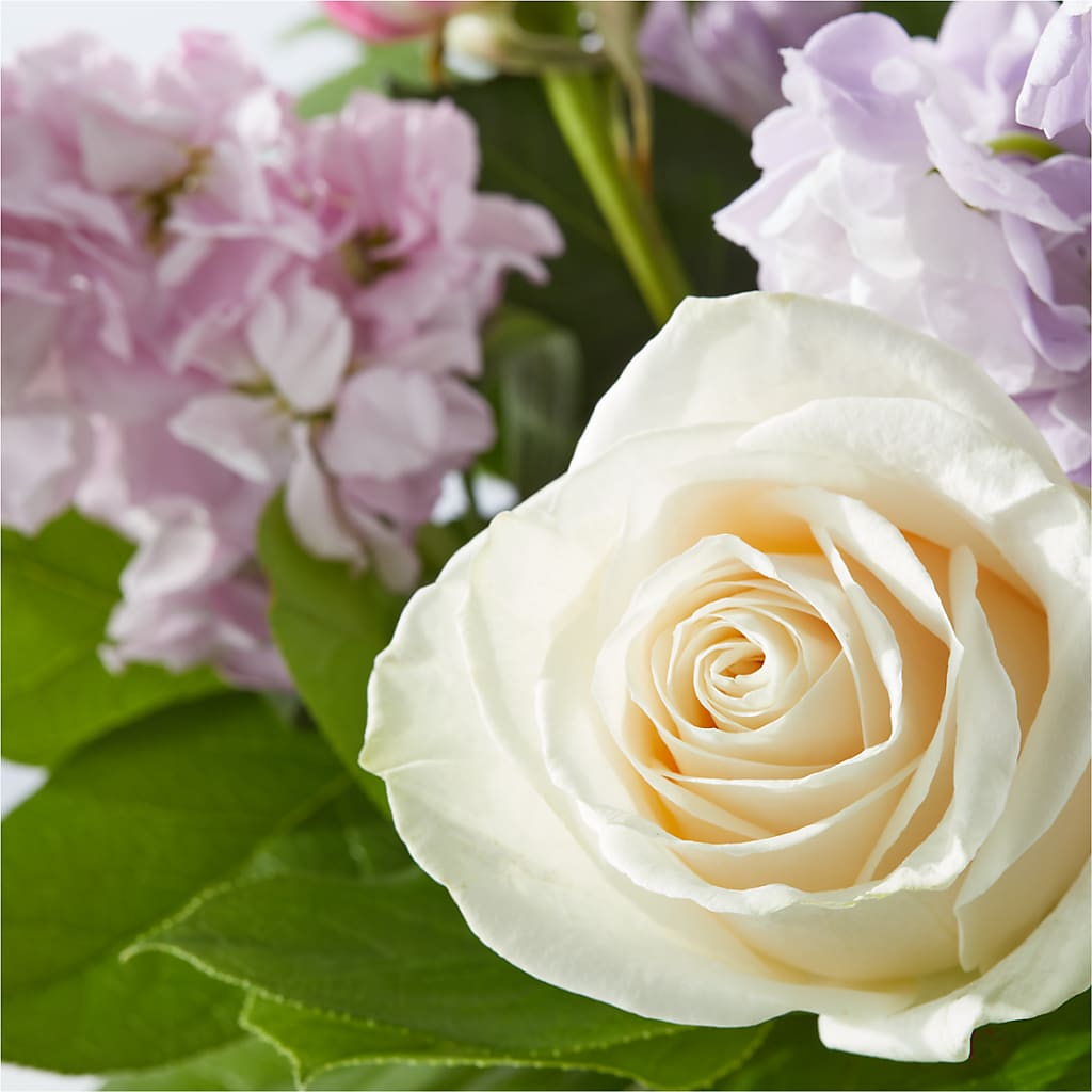 Springtime Spritz Bouquet –  Flowers By Us, Grand Forks ND