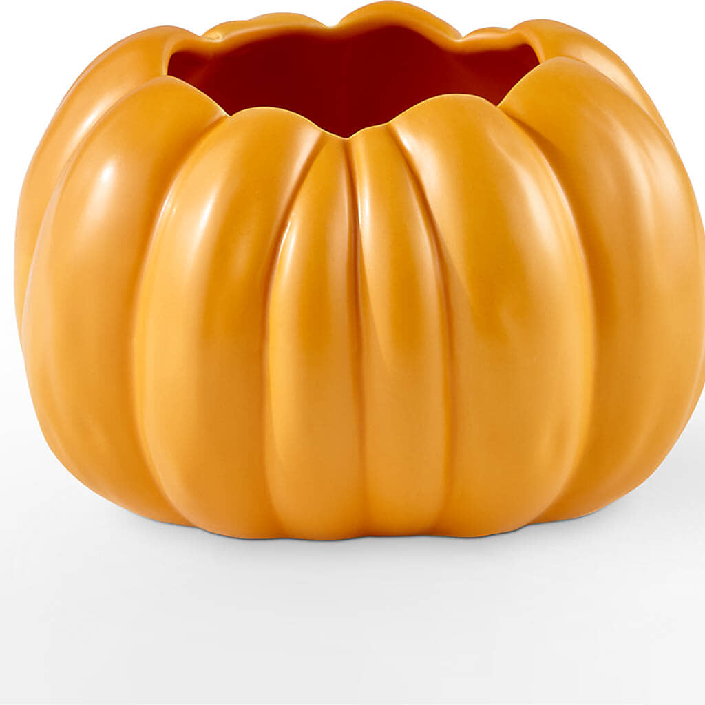 Golden Gourd Pumpkin Bouquet –  Flowers By Us, Grand Forks ND