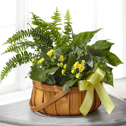 Always Dear Dishgarden –  Flowers By Us, Grand Forks ND