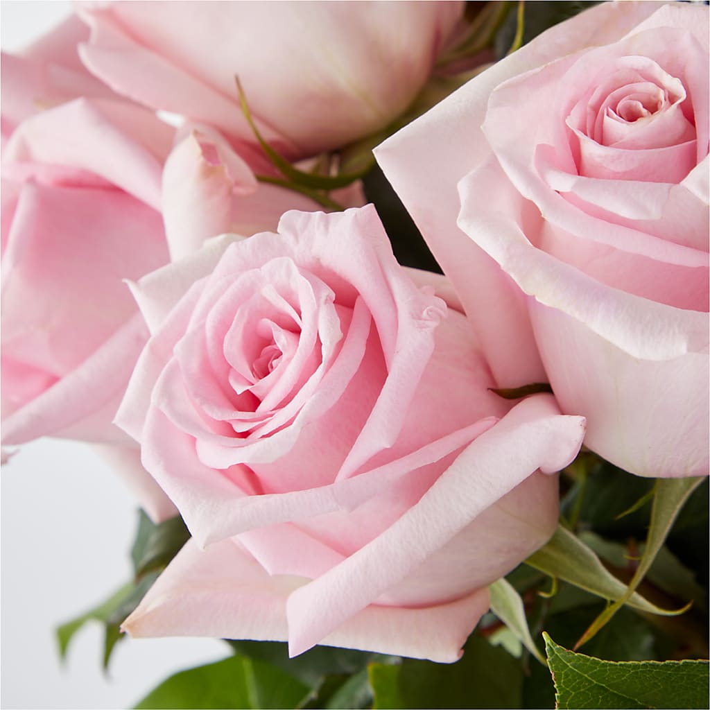 Picture Perfect Pink Rose Bouquet –  Flowers By Us, Grand Forks ND