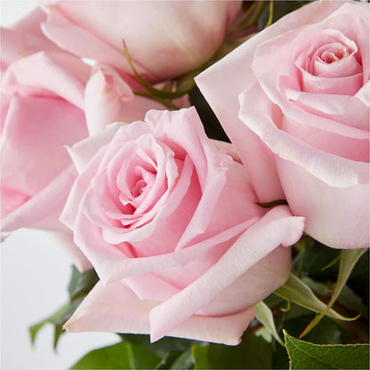 Picture Perfect Pink Rose Bouquet –  Flowers By Us, Grand Forks ND