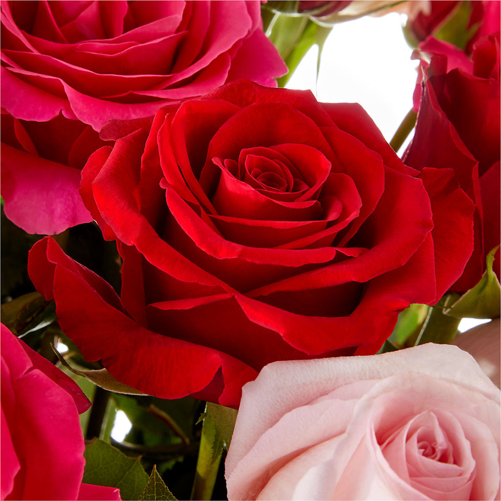 Love Notes Rose Bouquet –  Flowers By Us, Grand Forks ND
