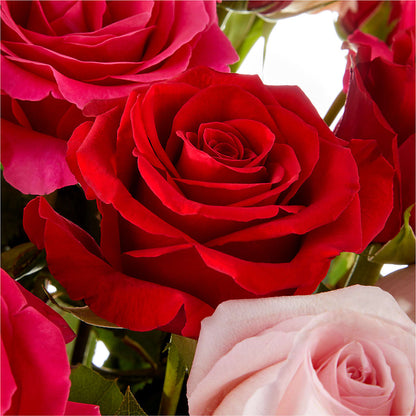 Love Notes Rose Bouquet –  Flowers By Us, Grand Forks ND