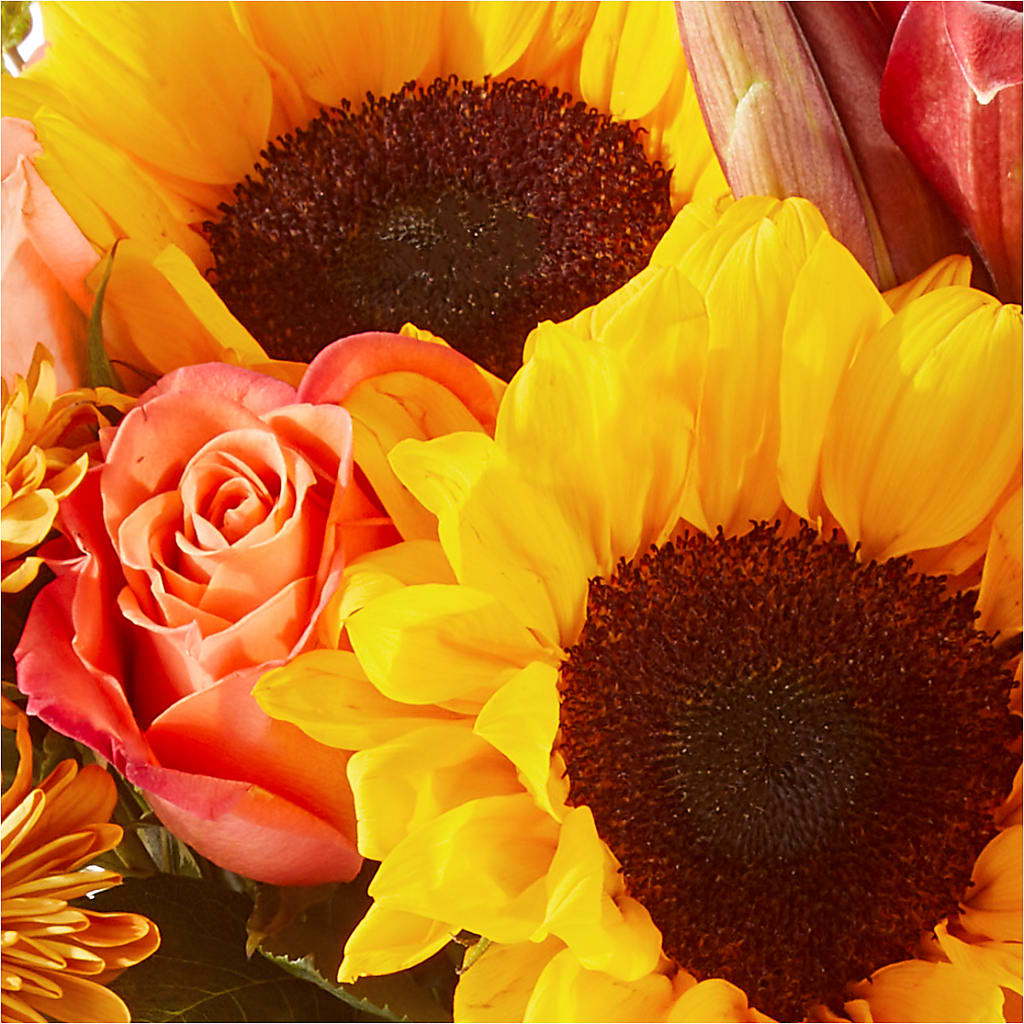 Acorn Lane Bouquet –  Flowers By Us, Grand Forks ND