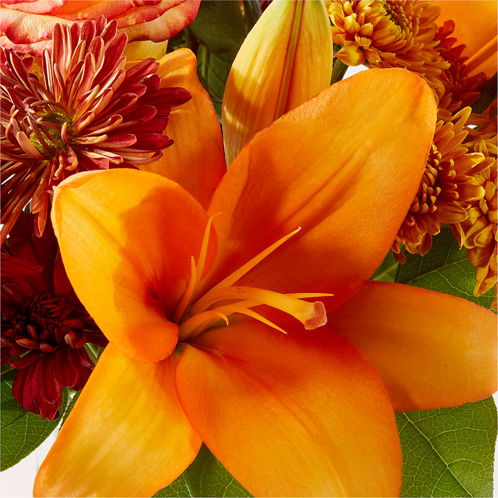 Autumnal Aroma Bouquet –  Flowers By Us, Grand Forks ND