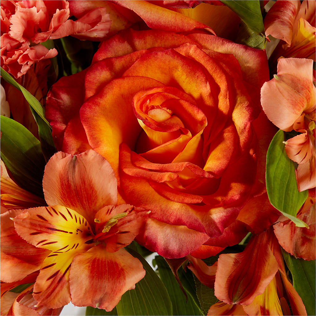 Apricot Glow Bouquet –  Flowers By Us, Grand Forks ND