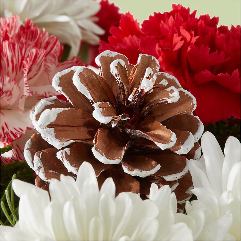 Candy Cane Lane Bouquet –  Flowers By Us, Grand Forks ND