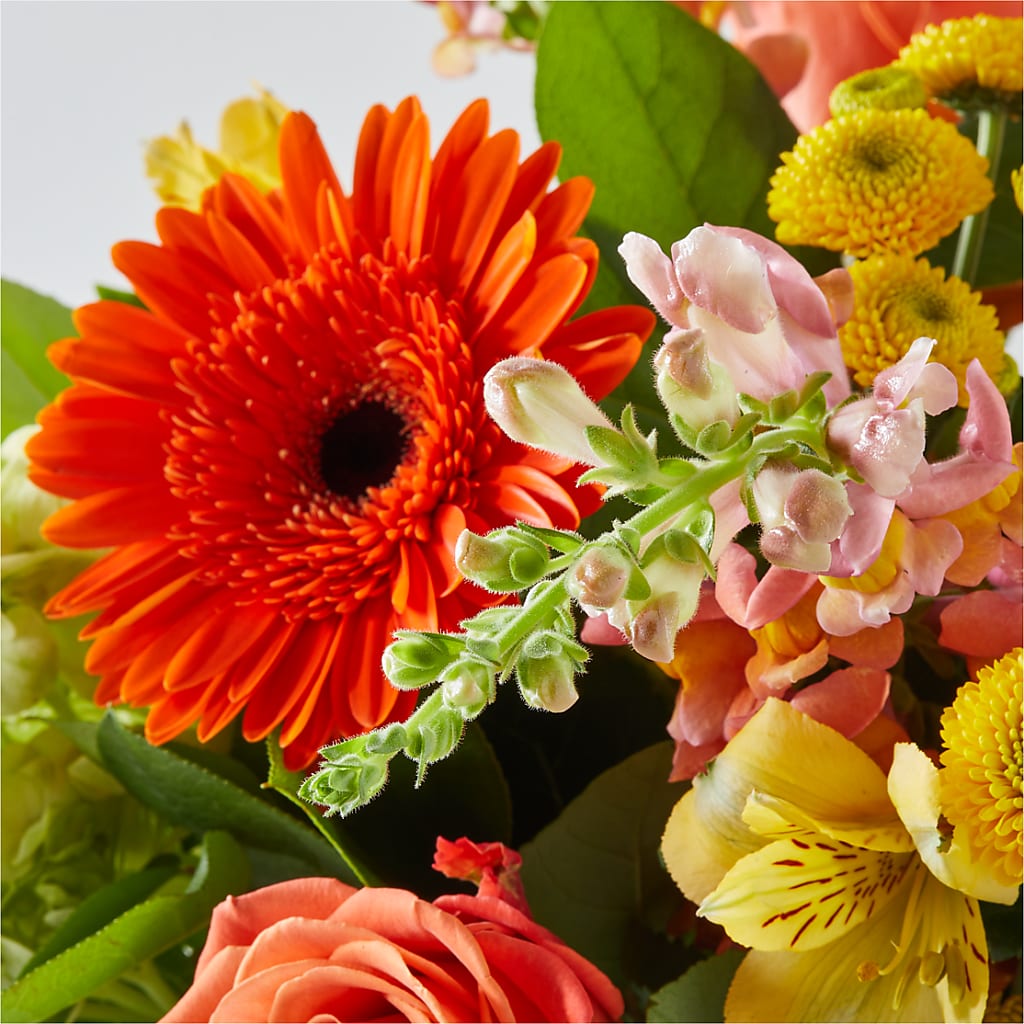 Autumn Sunshine Bouquet –  Flowers By Us, Grand Forks ND