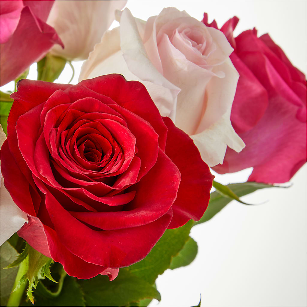 Charming Rose Bouquet –  Flowers By Us, Grand Forks ND